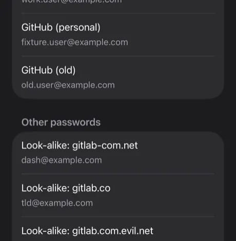 A list of the logins saved for this website
